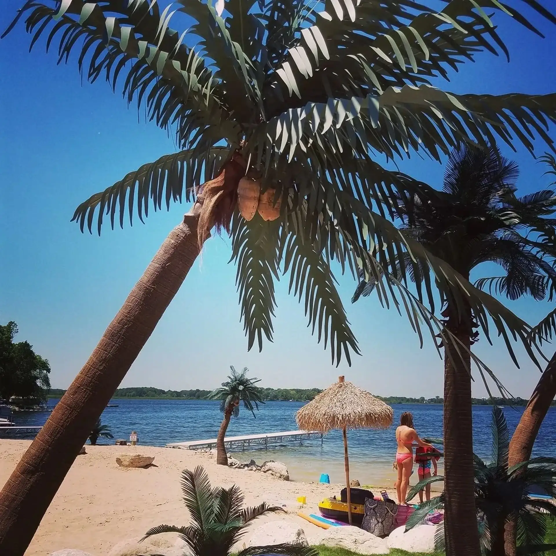 Palms over the sand with the lake and a thatched umbrella below